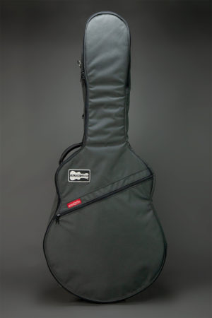 Case Cover Acoustic 2