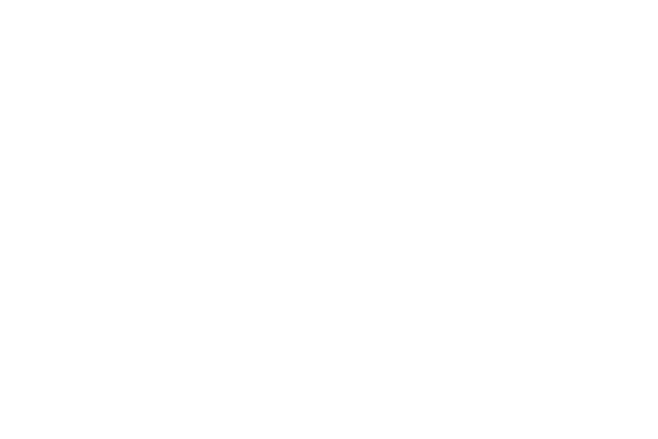 Fender-Logo