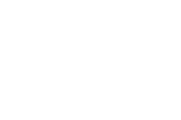 Lame-Horse-Logo