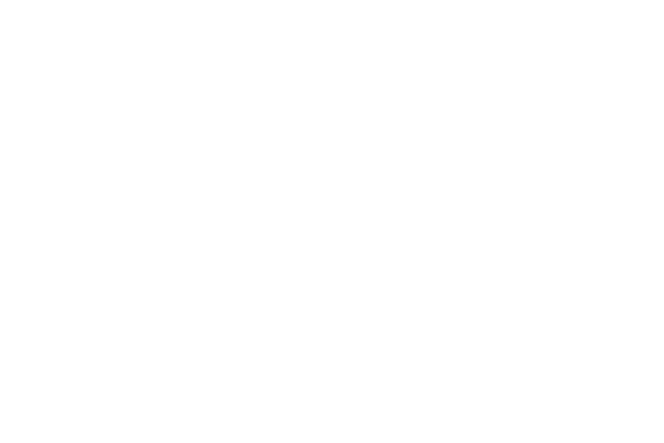 Martin-Logo