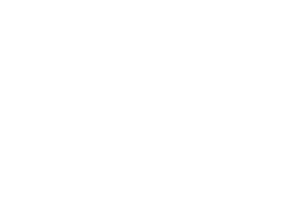 Ryan-Guitars-Logo