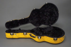 Acoustic Guitar Hard Case open