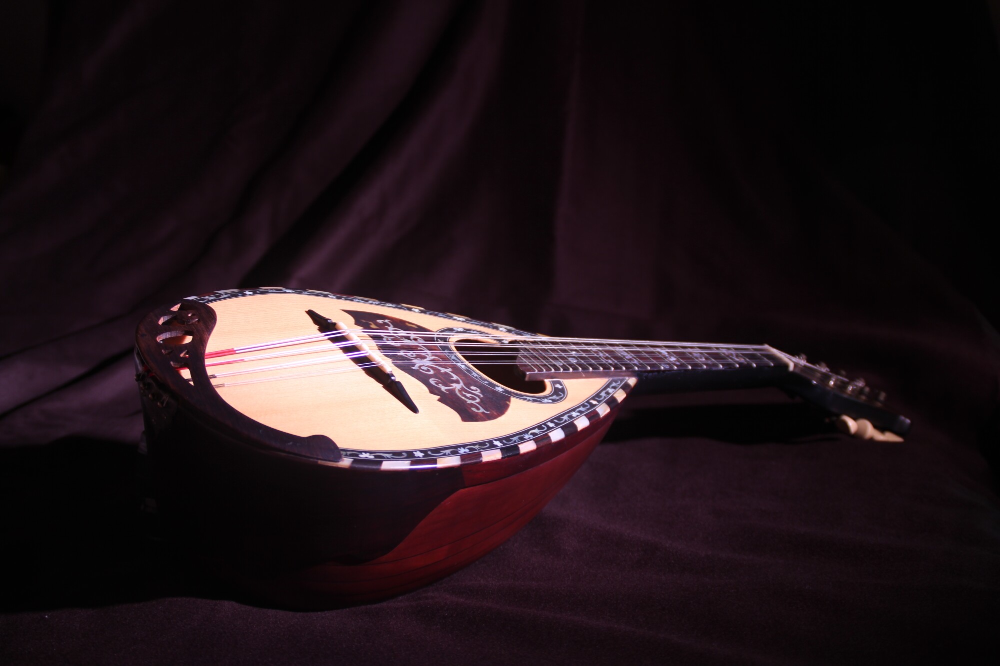 mandolin hard case