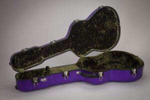 Martin Dreadnought Acoustic Guitar Hard Case